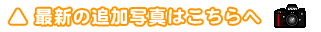 webgallery